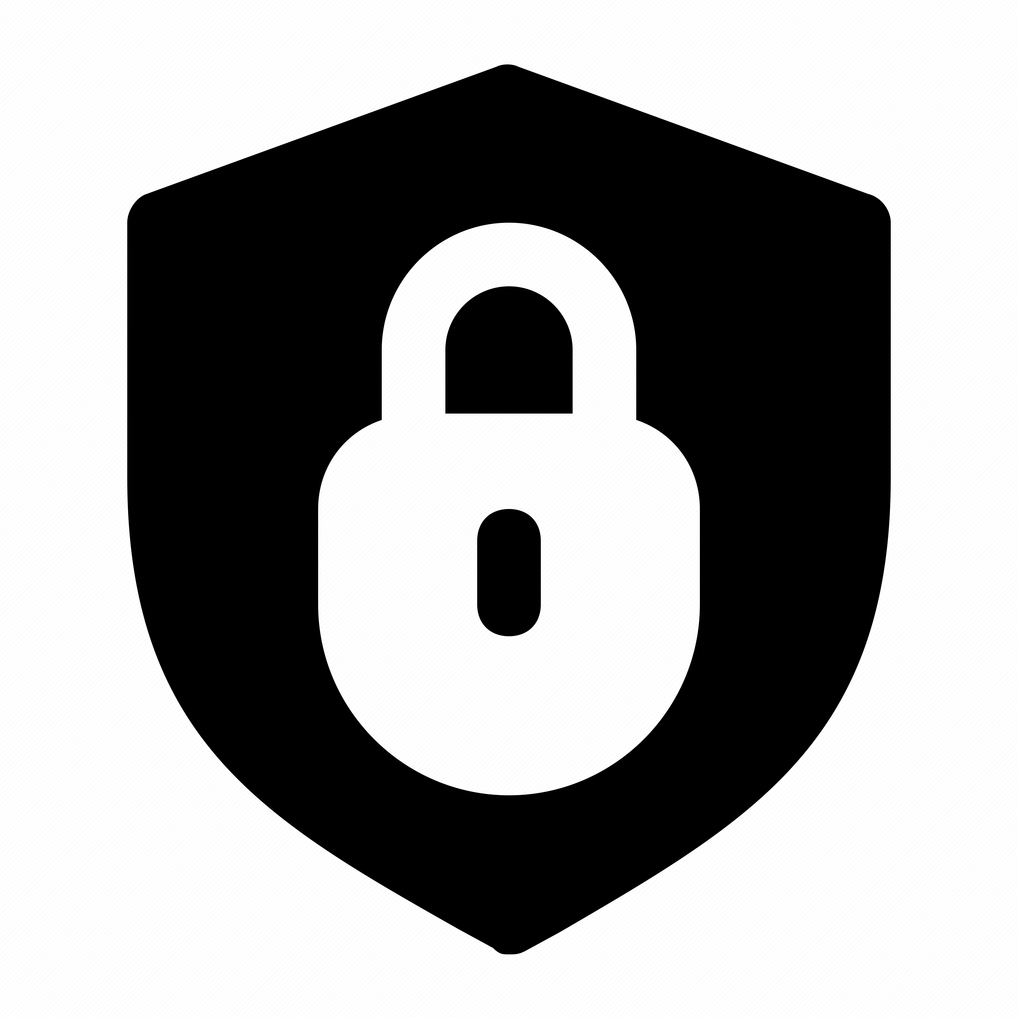 Security Icon